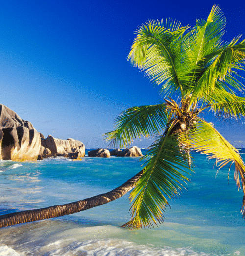 La Digue Island Palm Swim