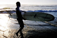Surfing Beach Walk