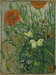 Vincent van Gogh Butterflies and poppies